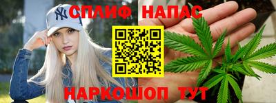 мдпв Ногинск