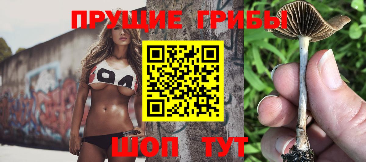 как найти закладки  Галлюциногенные грибы прущие грибы  Вход с VPN  Шуя 