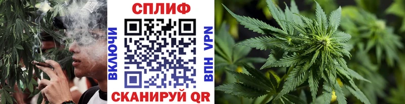 где продают   Шуя  Марихуана ГИДРОПОН 