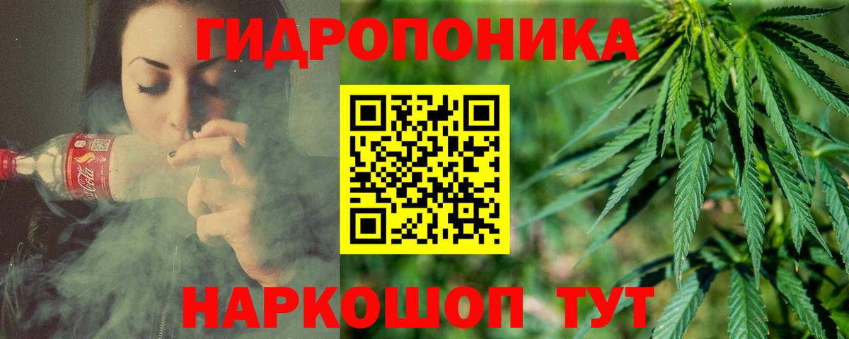 Бошки марихуана марихуана  Вход с VPN  Шуя  Каннабис OG Kush 